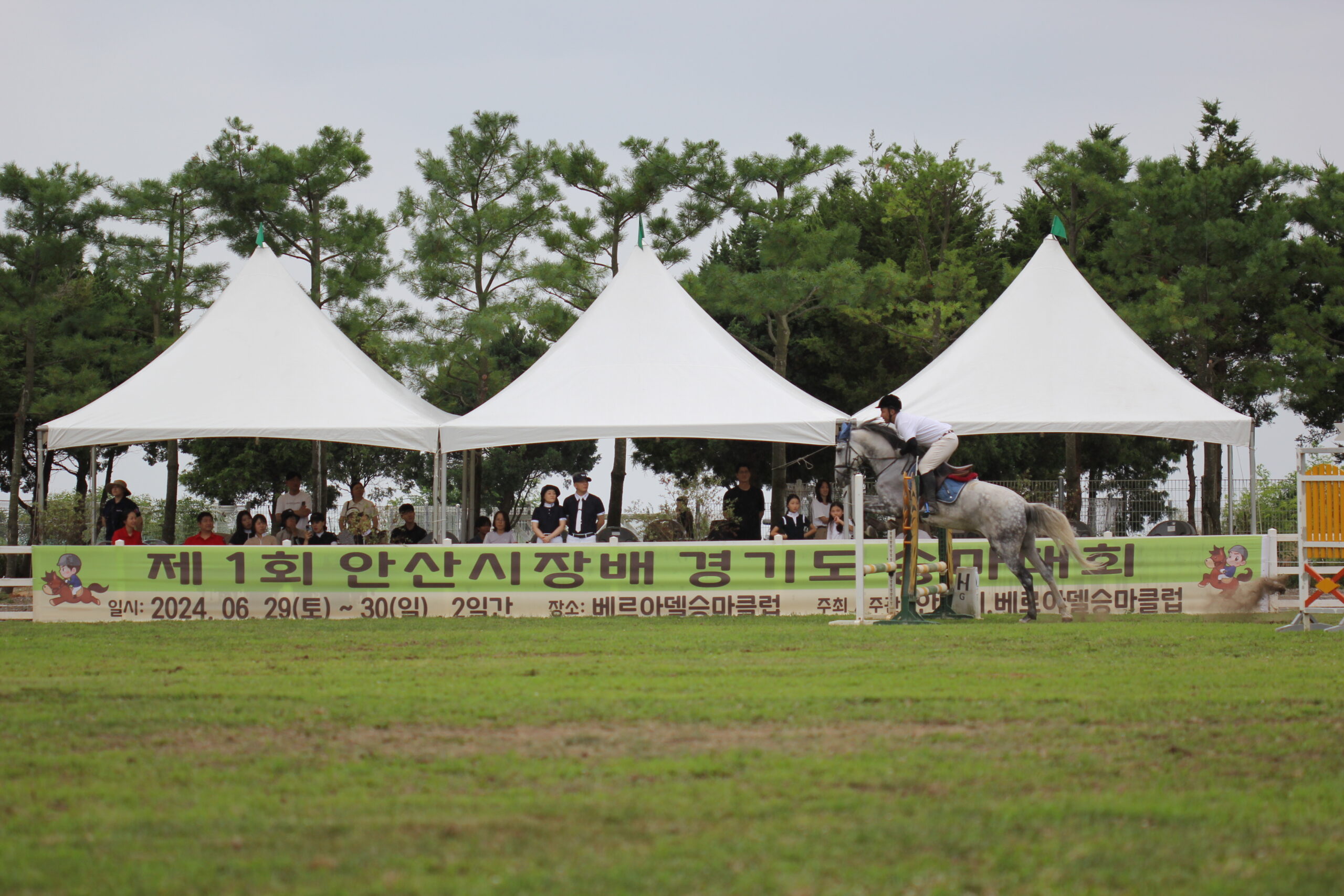 제1회 안산시장배 경기도 승마대회 뜨거운 열전 마무리