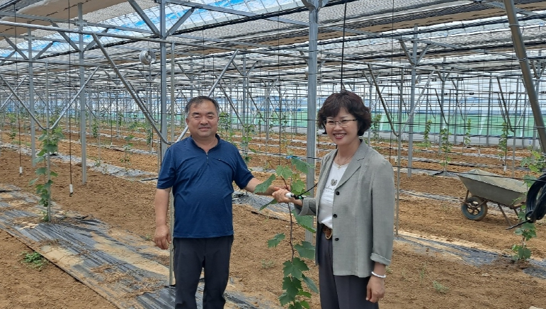 평택시, 포도 농가에 스마트 농업시설로 경쟁력 높이다