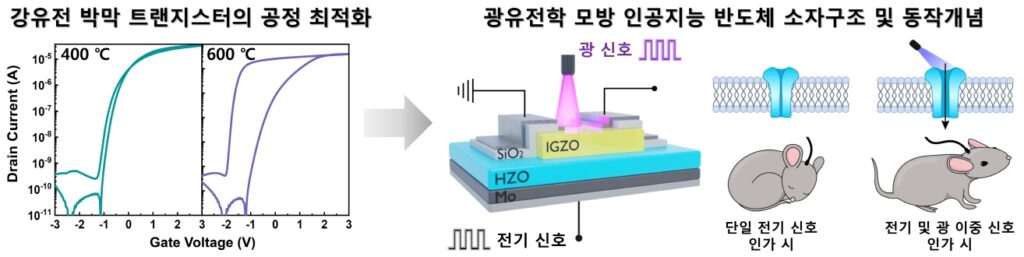 인공지능 반도체 소자 구조 및 개념도